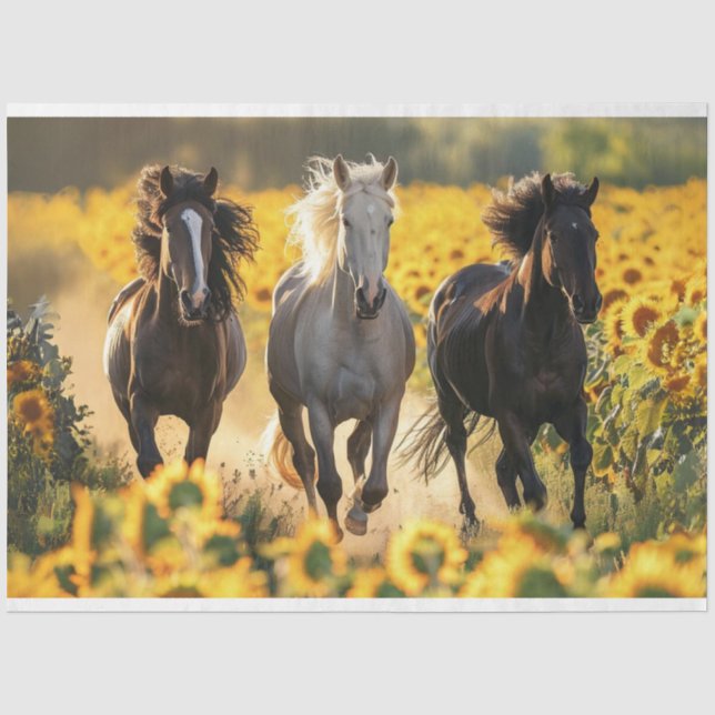 Papier Mousseline Découpage 3 Chevaux Courant Fleurs de soleil (Recto)