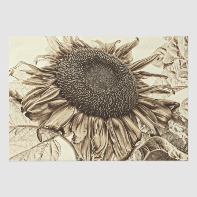 Papier Mousseline Découpage à l'ancienne de Sunflower Sepia Tone Vin (Recto)