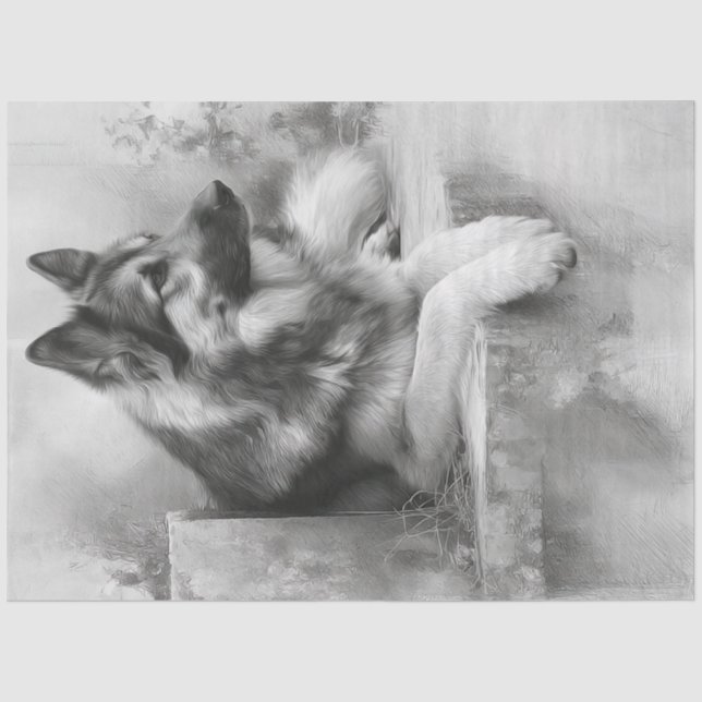Papier Mousseline Découpage Charcoal German Shepard Portrait (Recto)