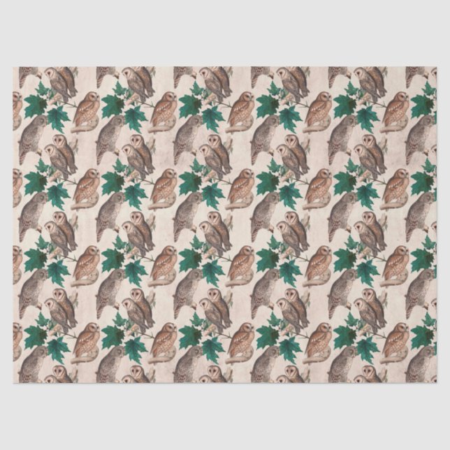 Papier Mousseline Découpage Chouettes et Feuilles (Recto)