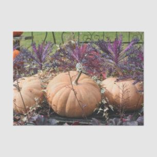 Papier Mousseline Découpage citrouilles et Plantes d'automne
