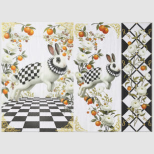 Papier Mousseline Decoupage Curieux Monde Imaginaire