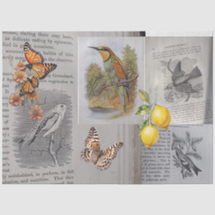 Papier Mousseline Découpage d'antiquités et de papillons