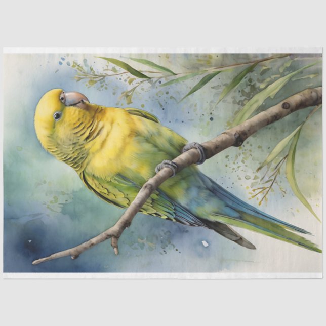 Papier Mousseline Découpage de boucles d'aquarelle Budgie Parakeet (Recto)
