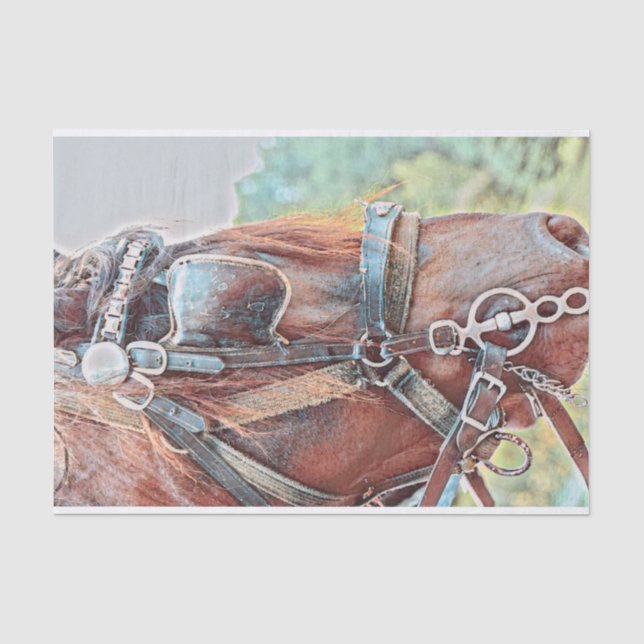 Papier Mousseline Découpage de campagne de Horse Western Rustic (Recto)