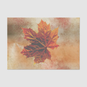 Papier Mousseline Découpage de feuille d'automne Wrap Pumpkim