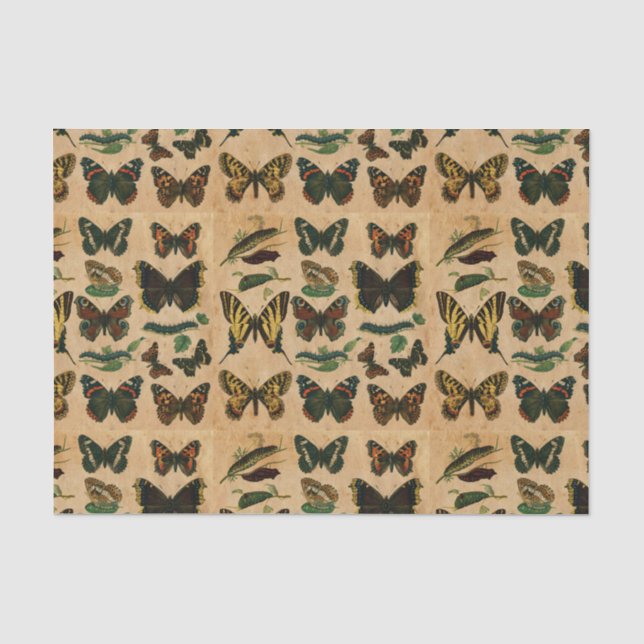 Papier Mousseline Découpage de la collection de papillon d'insectes  (Recto)