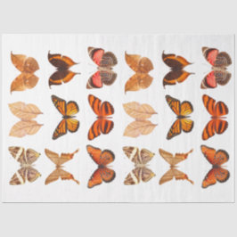 Papier Mousseline Découpage de la collection de papillons orange or