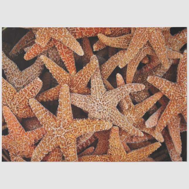 Papier Mousseline Découpage de la photo Starfish (Recto)