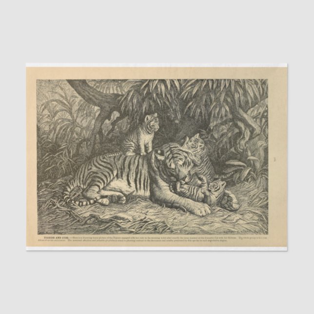 Papier Mousseline Découpage de l'épée de tigre (Recto)