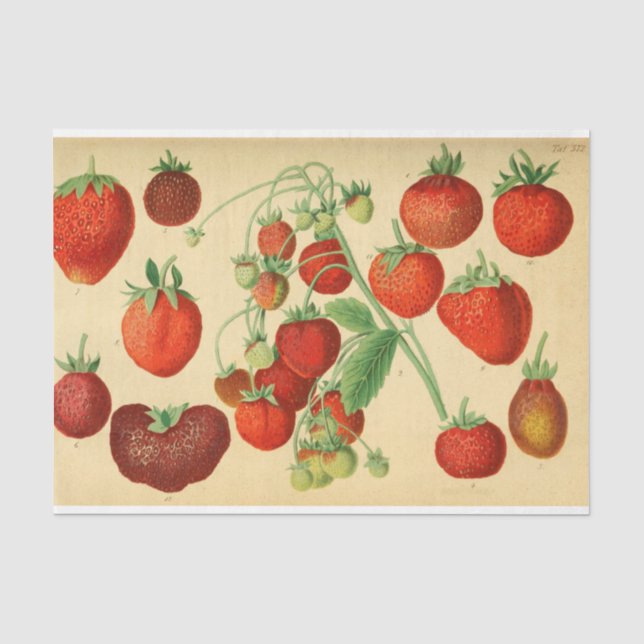 Papier Mousseline Découpage de l'éphémère aux fraises rouges (Recto)