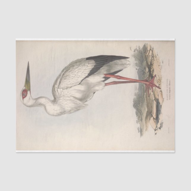 Papier Mousseline Découpage de l'Ephémère de cigogne d'oiseaux (Recto)