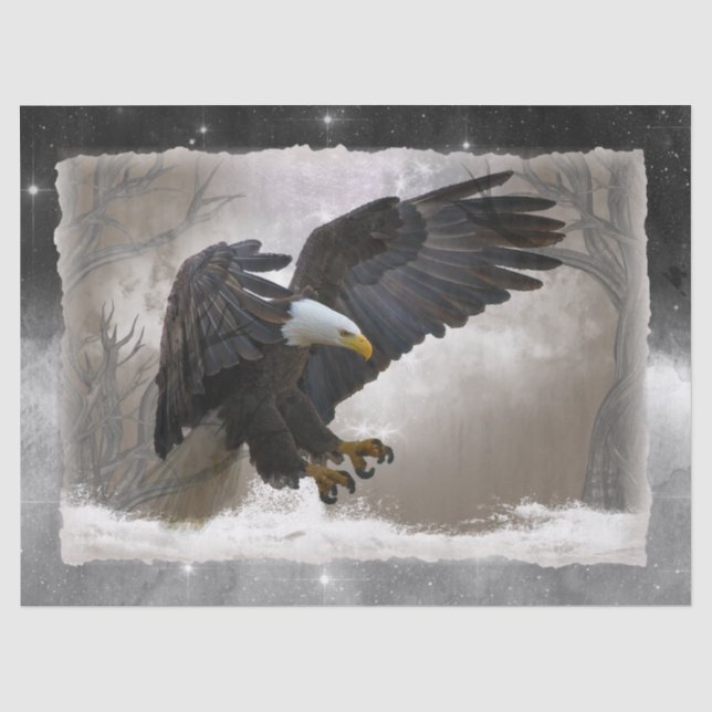 Papier Mousseline Découpage de l'oeuvre d'aigle à tête blanche (Recto)