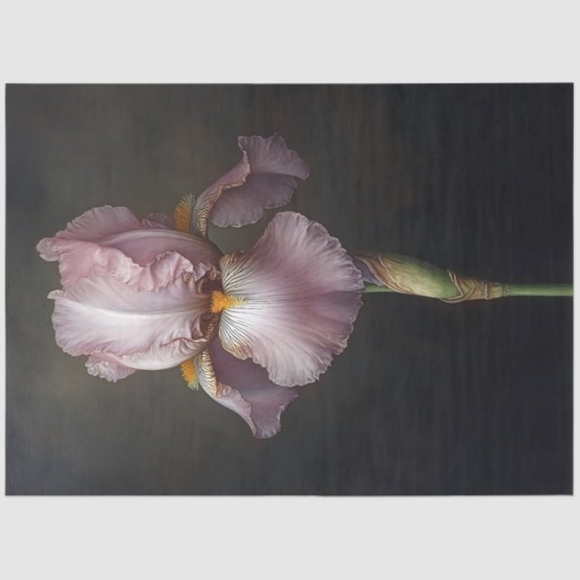 Papier Mousseline Découpage De Peinture Botanique Iris Violet (Recto)