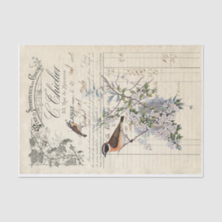 Papier Mousseline découpage de réception d'oiseau français