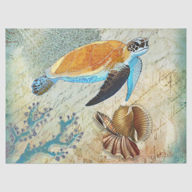 Papier Mousseline Découpage des coquillages Vintages de tortues mari (Recto)