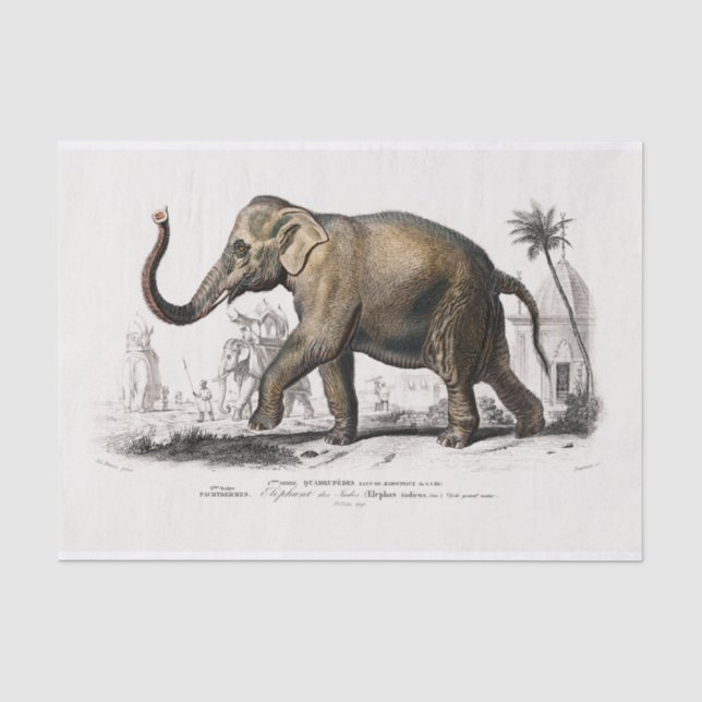 Papier Mousseline Découpage d'impression d'éléphants asiatiques vint (Recto)