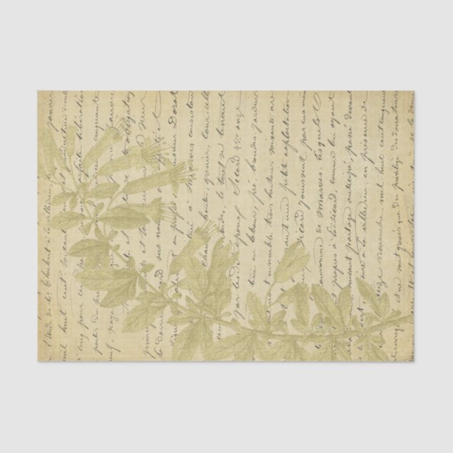 Papier Mousseline Découpage du script Fleur sauvage de Parties scint (Recto)