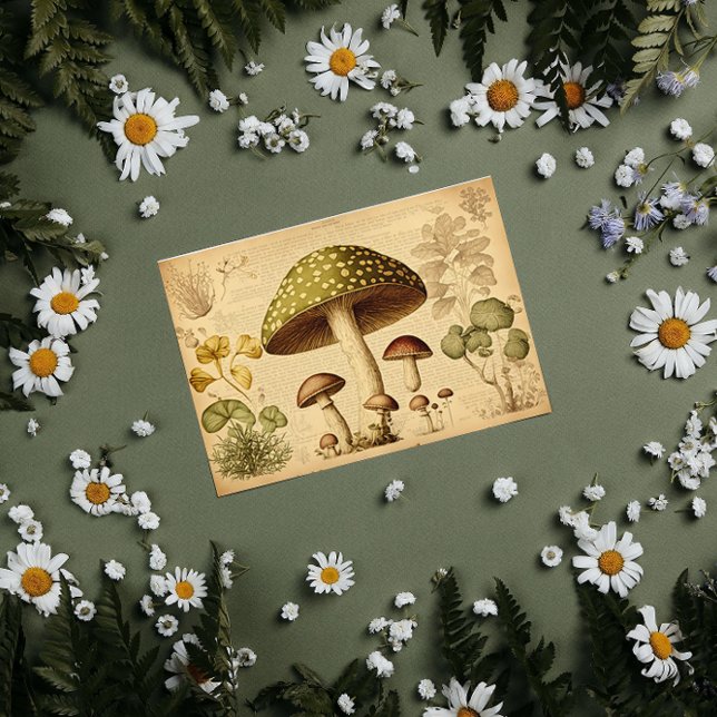 Papier Mousseline Découpage en français du champignon en papier vint (Créateur téléchargé)