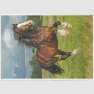 Papier Mousseline Découpage majestueux du Cheval Clydesdale Chestnut