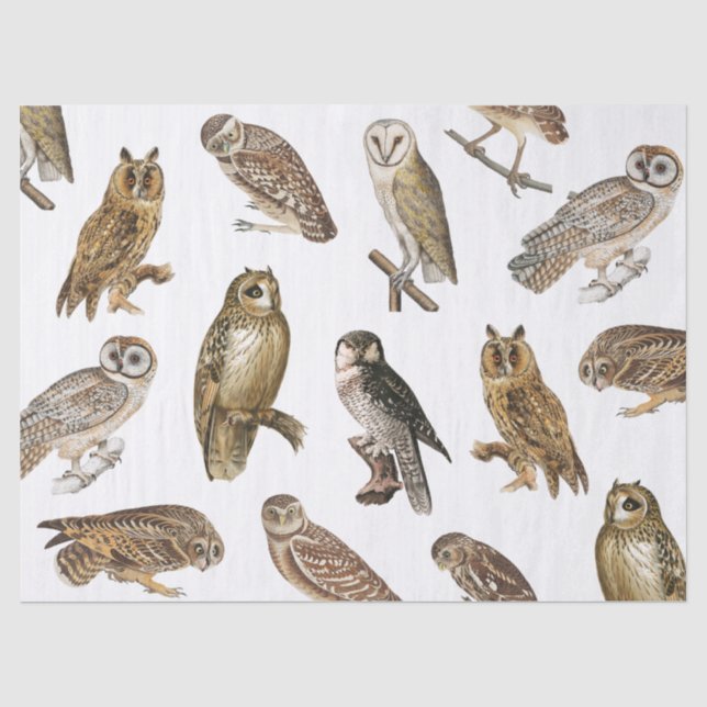 Papier Mousseline Découpage Motif Chouettes vintages (Recto)