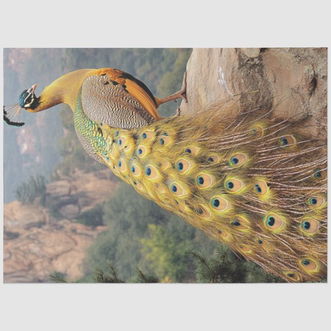 Papier Mousseline Decoupage Mountain Majestic Peacock Golden  (Recto)