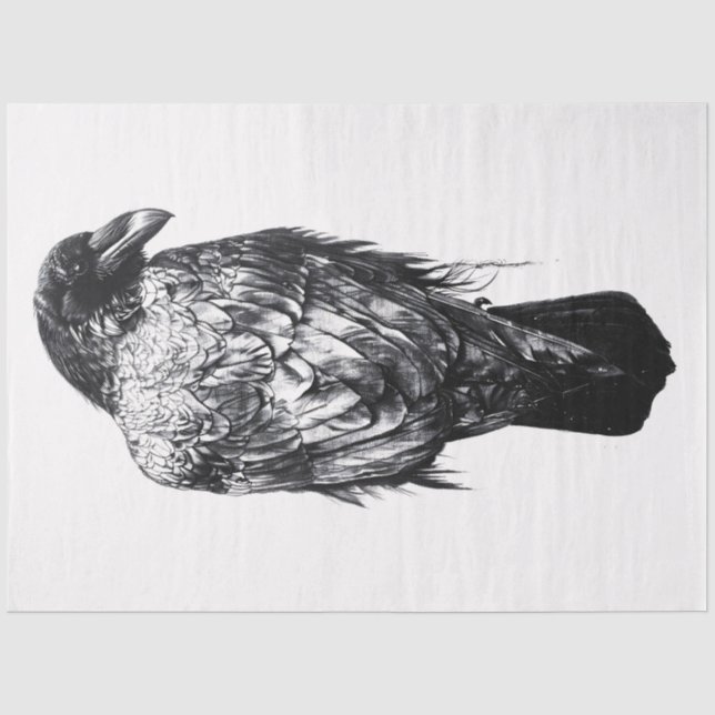 Papier Mousseline Découpage noir et blanc corbeau (Recto)