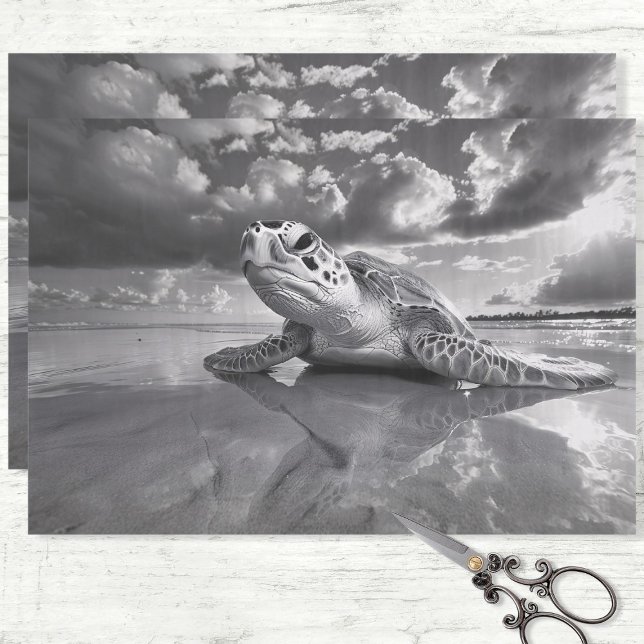 Papier Mousseline Découpage noir et blanc de la tortue marine (Créateur téléchargé)