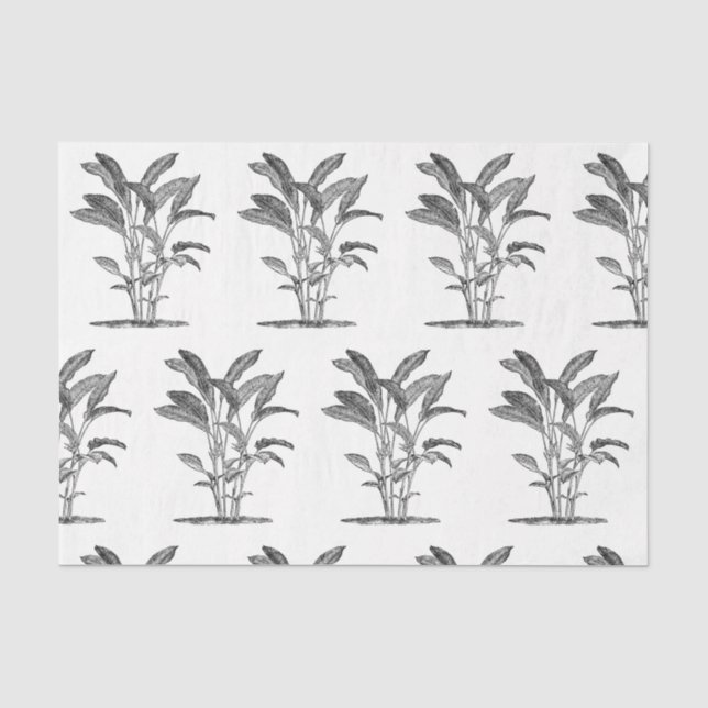 Papier Mousseline Découpage Plante Oiseau du Paradis (Recto)