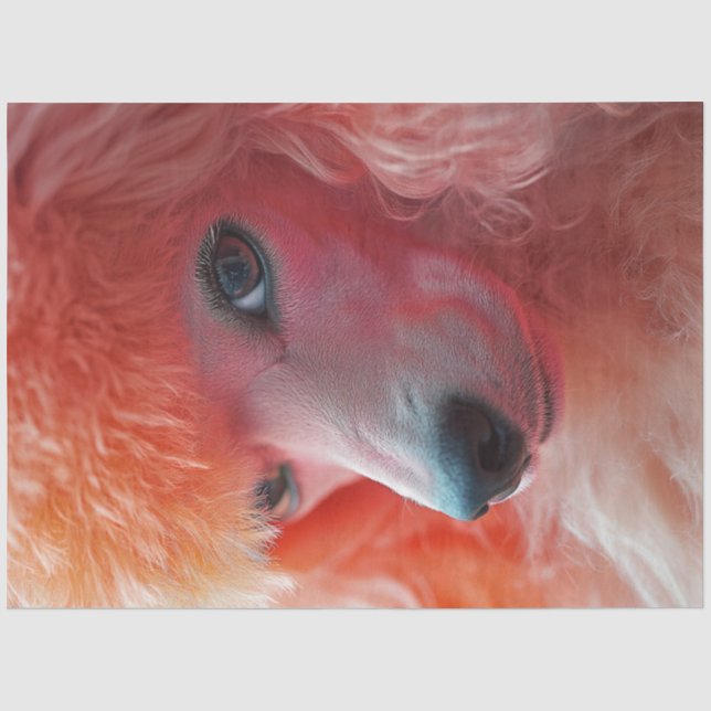Papier Mousseline Découpage Quimique Pink Hairdo Standard Poodle (Recto)