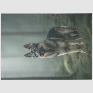 Papier Mousseline Découpage Shepard allemand dans Misty Forest