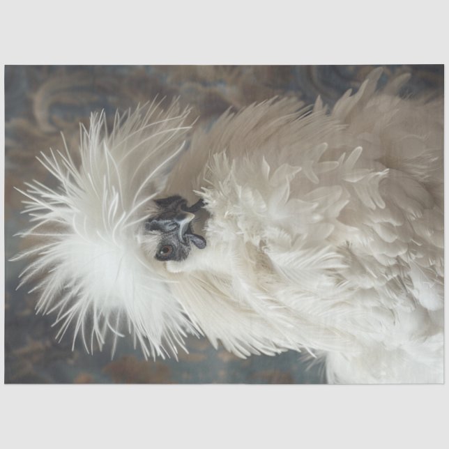 Papier Mousseline Découpage Silkie Showgirl Poulet blanc (Recto)