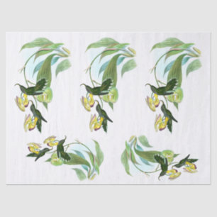 Papier Mousseline Découpage vintage de la faucille verte Hummingbird