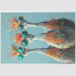 Papier Mousseline Découpage Whimsical Wackadoodle Oiseau Art