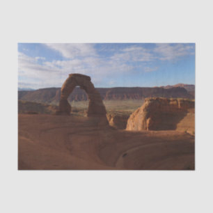 Papier Mousseline Delicate Arch II au Parc national des Arches