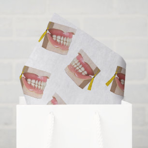 Papier Mousseline Dental School Graduation Party Cadeau