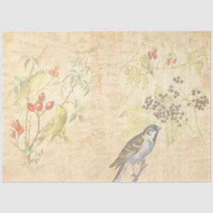 Papier Mousseline Design vintage Bird Series 2