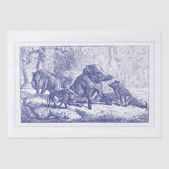 Papier Mousseline Dessin de famille de sangliers bleu (Recto)