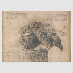 Papier Mousseline Dessin de hibou vintage