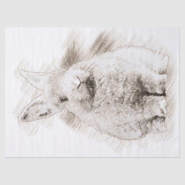 Papier Mousseline Dessin de lapin (Recto)