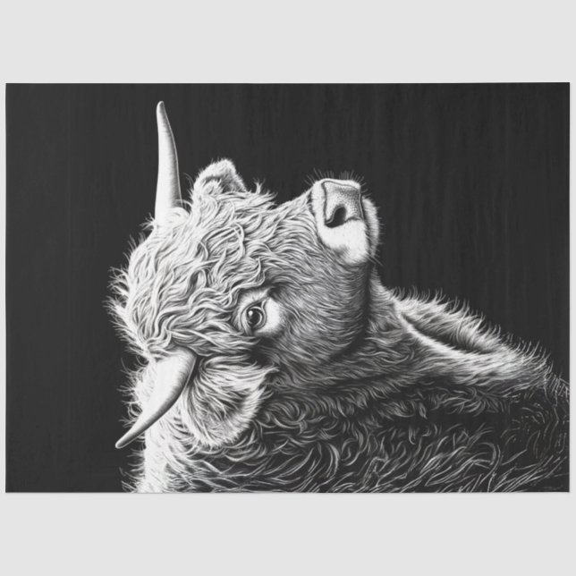 Papier Mousseline Dessin d'encre de vache Black White Highland (Recto)
