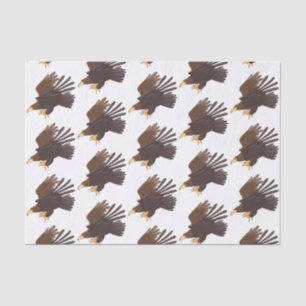 Papier Mousseline dessin humoristique d'aigle royal