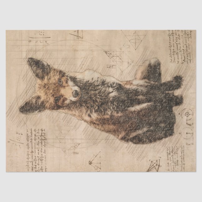 Papier Mousseline Dessin rétro Fox Wildlife (Recto)