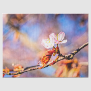 Papier Mousseline Deux Fleurs Extraordinaires Sakura. Rose, Arrière