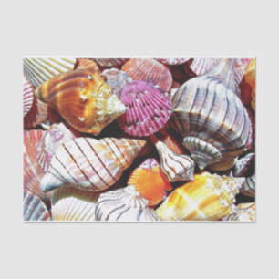 Papier Mousseline Document sur le tissu de la coque de mer - HAMbyWG