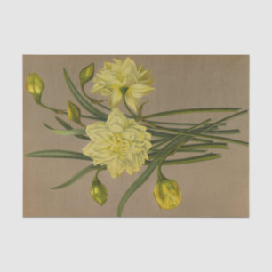 Papier Mousseline Double Narcisse Sulphur Kroon Argent Phoenix