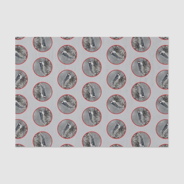 Papier Mousseline Downy Woodpecker en hiver Photo originale (Recto)