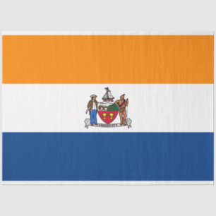 Papier Mousseline Drapeau d'Albany (New York)