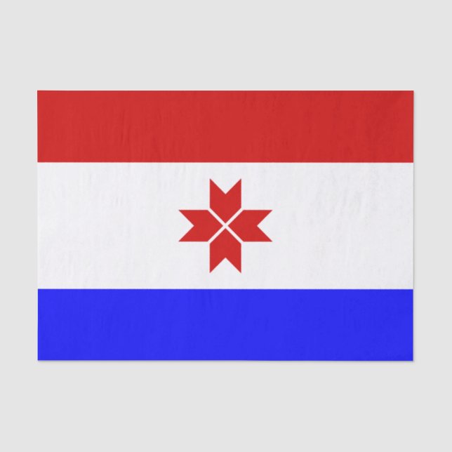 Papier Mousseline Drapeau Mordovia (Recto)