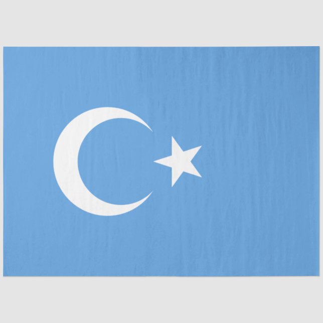 Papier Mousseline Drapeau ouïghour du Turkestan oriental (Uyghurista (Recto)